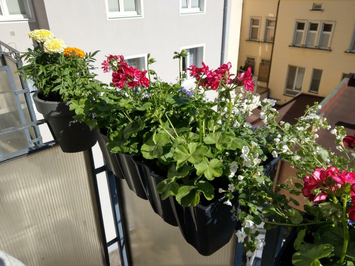 Bielski Apartments Γκντανσκ Εξωτερικό φωτογραφία